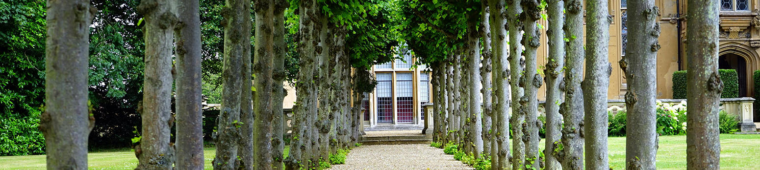Texte sur image